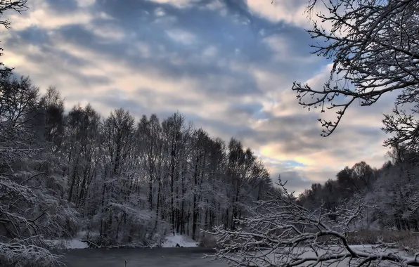 Картинка зима, лес, снег, озеро