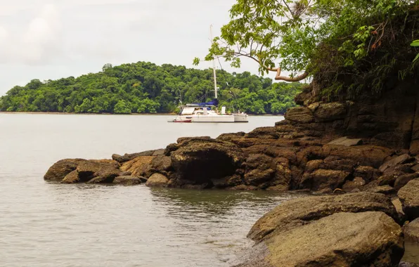 Море, деревья, камни, побережье, яхта, Panama, Chica, Chiriqui