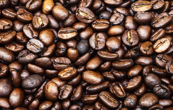 Pattern, coffee, coffee beans, whole
