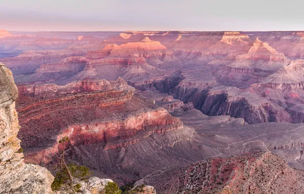 Desert, lookout, arid, the great canyon