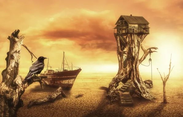 House, fantasy, digital, crow, art, Desert