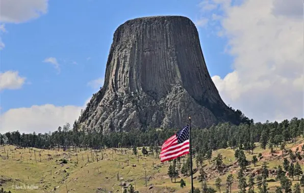 Картинка Wyoming, National Monument, devils tower, Black Hills