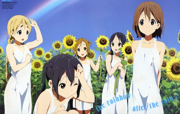 Лето, солнце, цветы, подсолнух, радуга, K-On!, keion, Муги