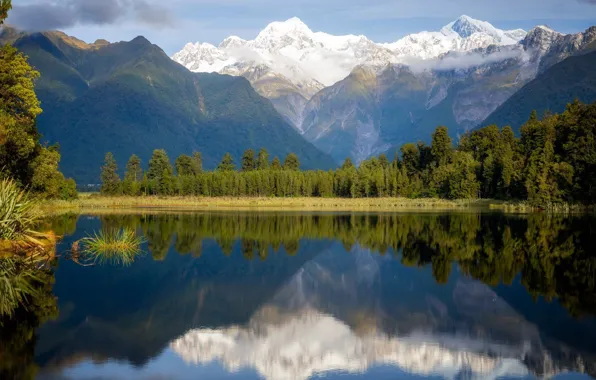 Новая Зеландия, New Zealand, национальный парк, заповедник, Westland Tai Poutini National Park, Озеро Мэтисон отражающее …