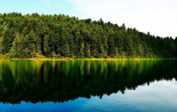 Картинка природа, лес озеро, отражение леса в нем и облаков
