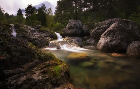 Лес, природа, камни, скалы, течение, водопад, поток, дно