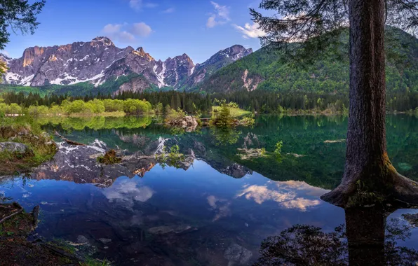 Лес, горы, озеро, отражение, дерево, Италия, Italy, Юлийские Альпы