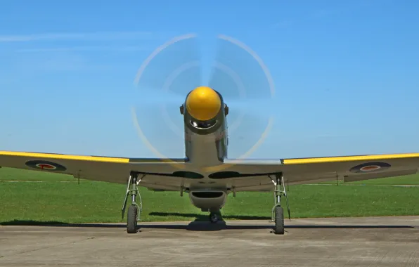 Mustang, пропеллер, аэродром, Titan, T-51B