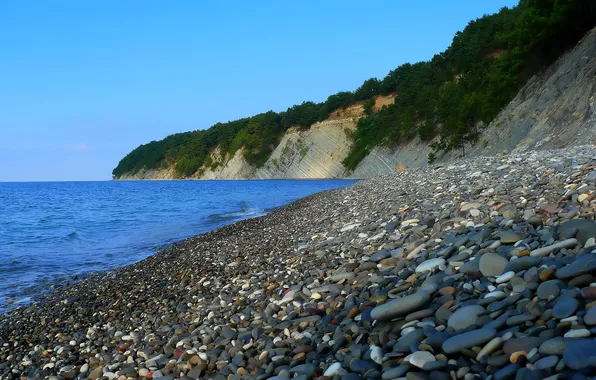 Пензенцам назвали безопасные для купания водоемы