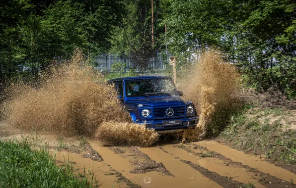 Брызги, синий, Mercedes-Benz, внедорожник, 4x4, G-Class, 2019