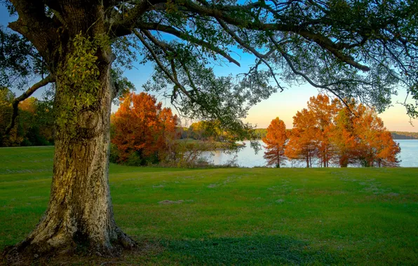 Картинка осень, небо, трава, деревья, озеро
