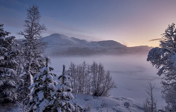 Картинка зима, снег, деревья, горы, озеро, Норвегия, Norway, Møre og Romsdal