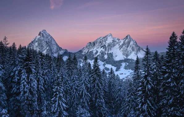 Зима, лес, небо, снег, деревья, горы, природа, скалы