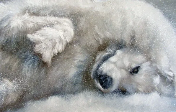 Взгляд, поза, масло, портрет, собака, живопись, мордашка, холст