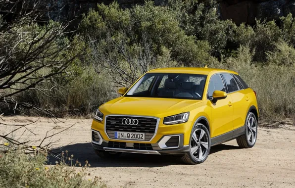 Внедорожник, AUDI