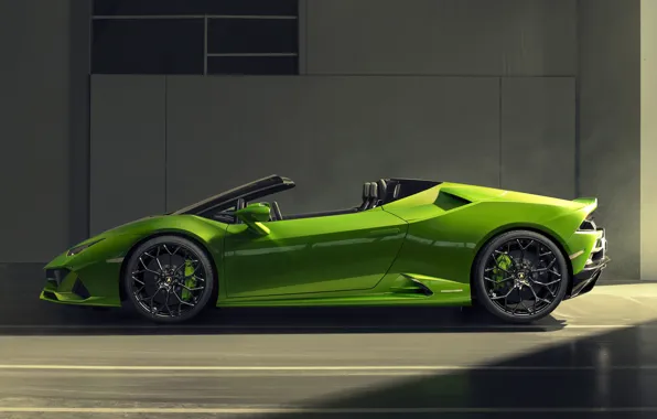 Lamborghini, вид сбоку, Spyder, Evo, Huracan, 2019, Lamborghini Huracan Evo