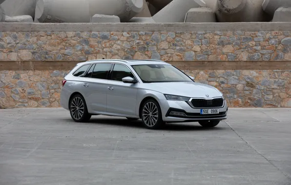 Стоянка, Škoda, универсал, Skoda, Octavia, 2020, Octavia Combi