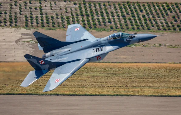 Картинка многоцелевой истребитель, МиГ-29А, ВВС Польши