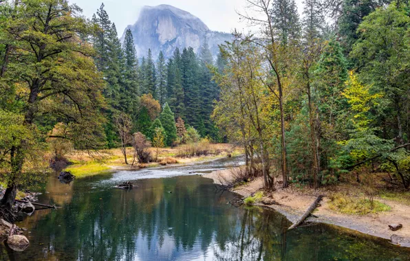 Картинка осень, лес, деревья, горы, ручей, камни, скалы, Калифорния