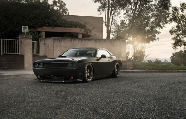 Muscle, Dodge, Challenger, Car, Front, Black, Sun, Tuning