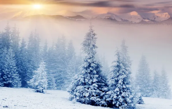 Картинка зима, снег, горы, ёлки