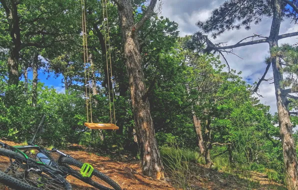 Sport, bicycle, sky, bike, trees, country, swing, Forest