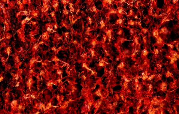 Макро, abstract, red, macro, confusion