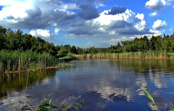 Лето, вода, пейзаж, природа, берег, Озеро