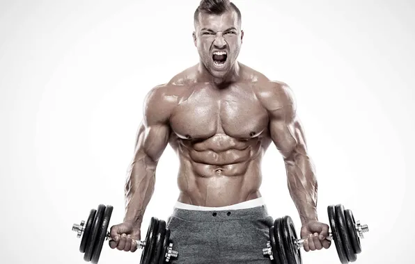 Поза, фигура, muscle, мышцы, пресс, pose, атлет, гантели