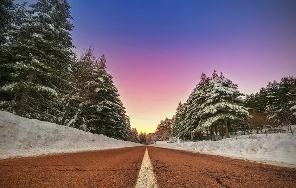 Зима, дорога, лес, небо, forest, trees, winter, roads