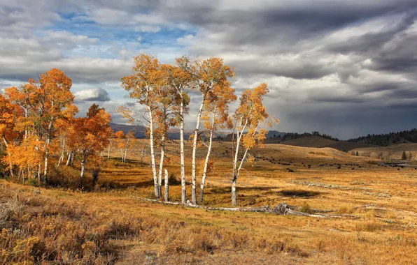 Осень, США, Национальный парк, Йеллоустон