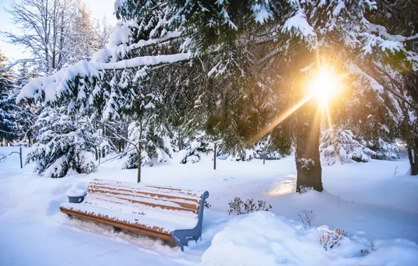 Картинка зима, снег, скамейка, парк, white, landscape, park, winter
