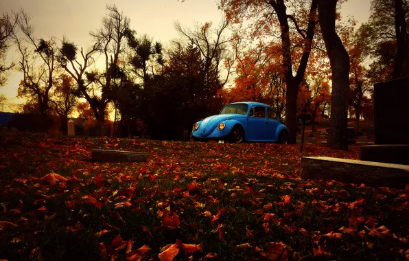 Осень, листья, деревья, могилы, Volkswagen, Beetle, кладбища
