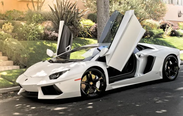 Lamborghini, двери, белая, открытые, Aventador