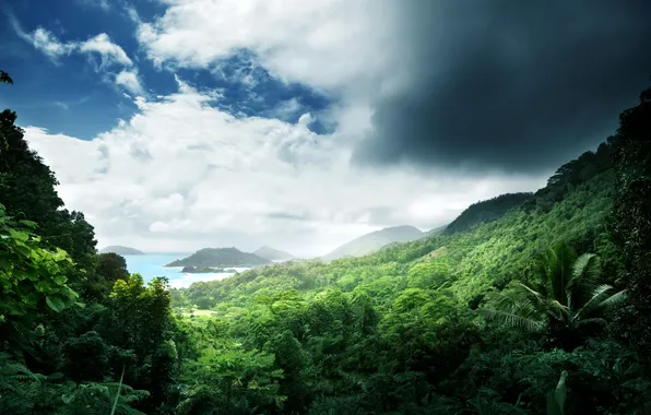Картинка море, зелень, небо, острова, облака, тропики, джунгли, Jungle