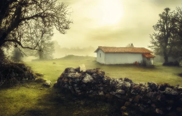 Картинка туман, дом, забор