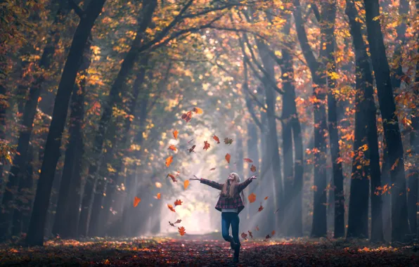 Осень, листья, девушка, Fall, аллея