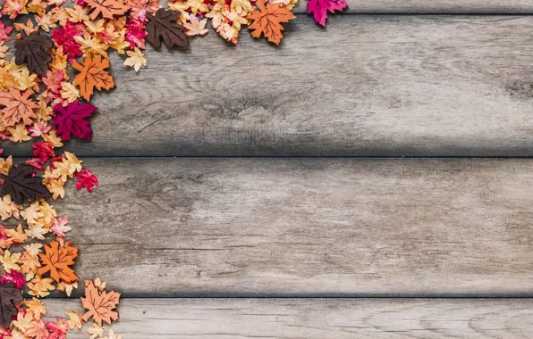 Осень, листья, фон, дерево, colorful, wood, background, autumn