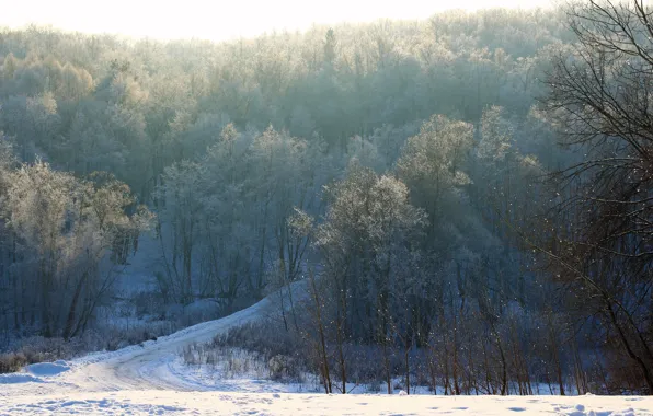 Дорога, лес, снег, деревья, ветви, Зима, утро, мороз