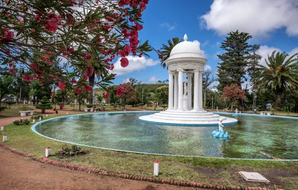 Картинка деревья, парк, фонтан, Uruguay, Уругвай, Fuente de Venus, Пирьяполис, Фонтан Венеры