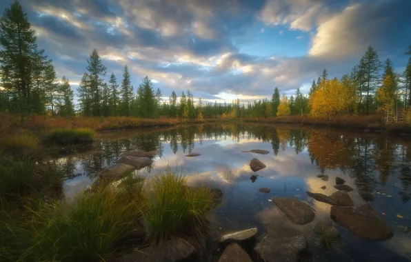 Картинка осень, лес, трава, облака, деревья, природа, озеро, камни