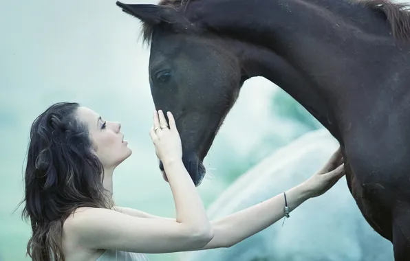 Картинка девушка, лошадь, профиль, прикосновение, шатенка