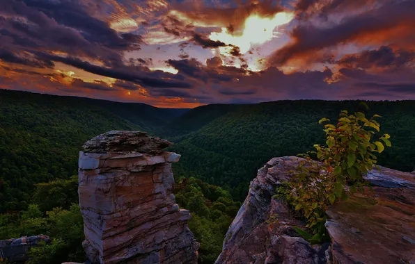 Небо, облака, деревья, пейзаж, горы