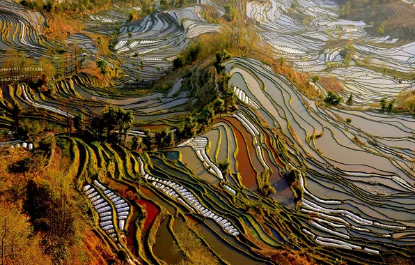 Поля, Китай, вид сверху, плантации, Yunnan