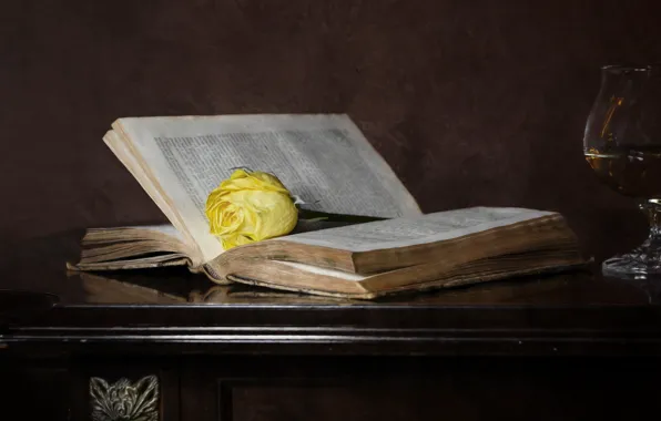 Картинка фон, роза, книга
