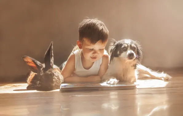 Собака, мальчик, кролик, друзья, книжка, чтение