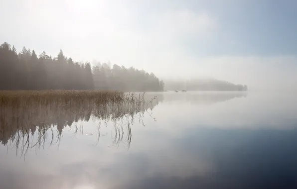 Картинка туман, озеро, камни, рассвет, берег, утро