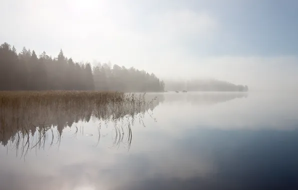 Туман, озеро, камни, рассвет, берег, утро