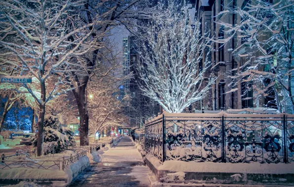 Зима, снег, деревья, улица, Чикаго, Иллинойс, Chicago, Illinois