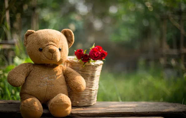 Любовь, цветы, подарок, игрушка, сердце, розы, мишка, red